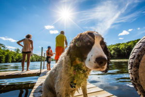 family fishing on a dock with their dog