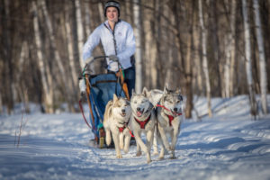 dog sledding